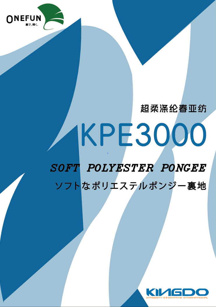 KPE3000
